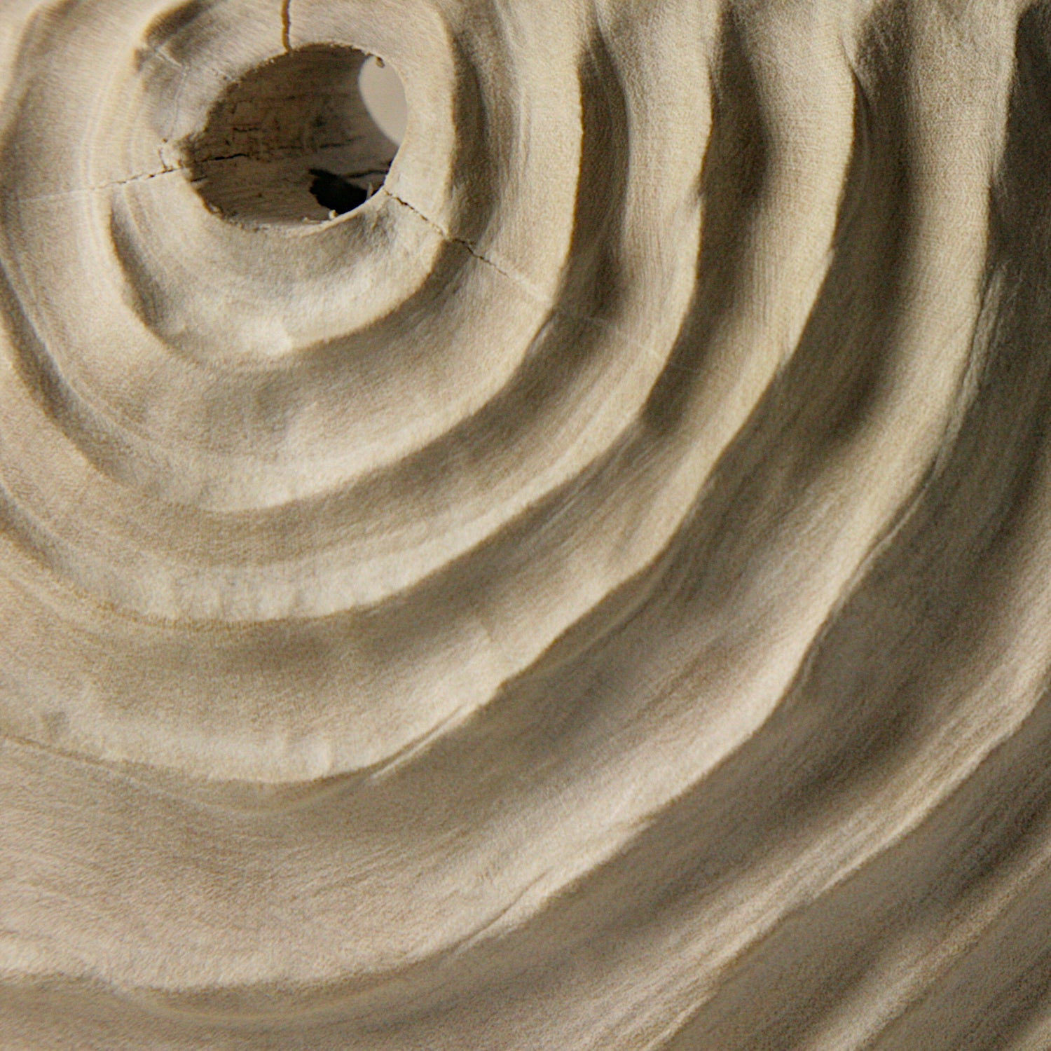 Elderberry "double face" bowl