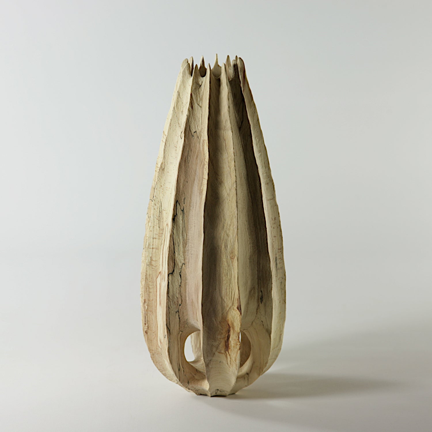 Spalted beech vase in vase #1