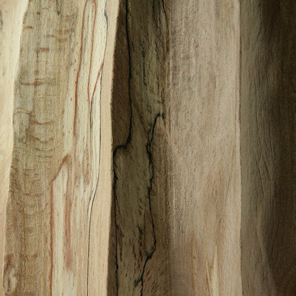 Spalted beech vase in vase #1