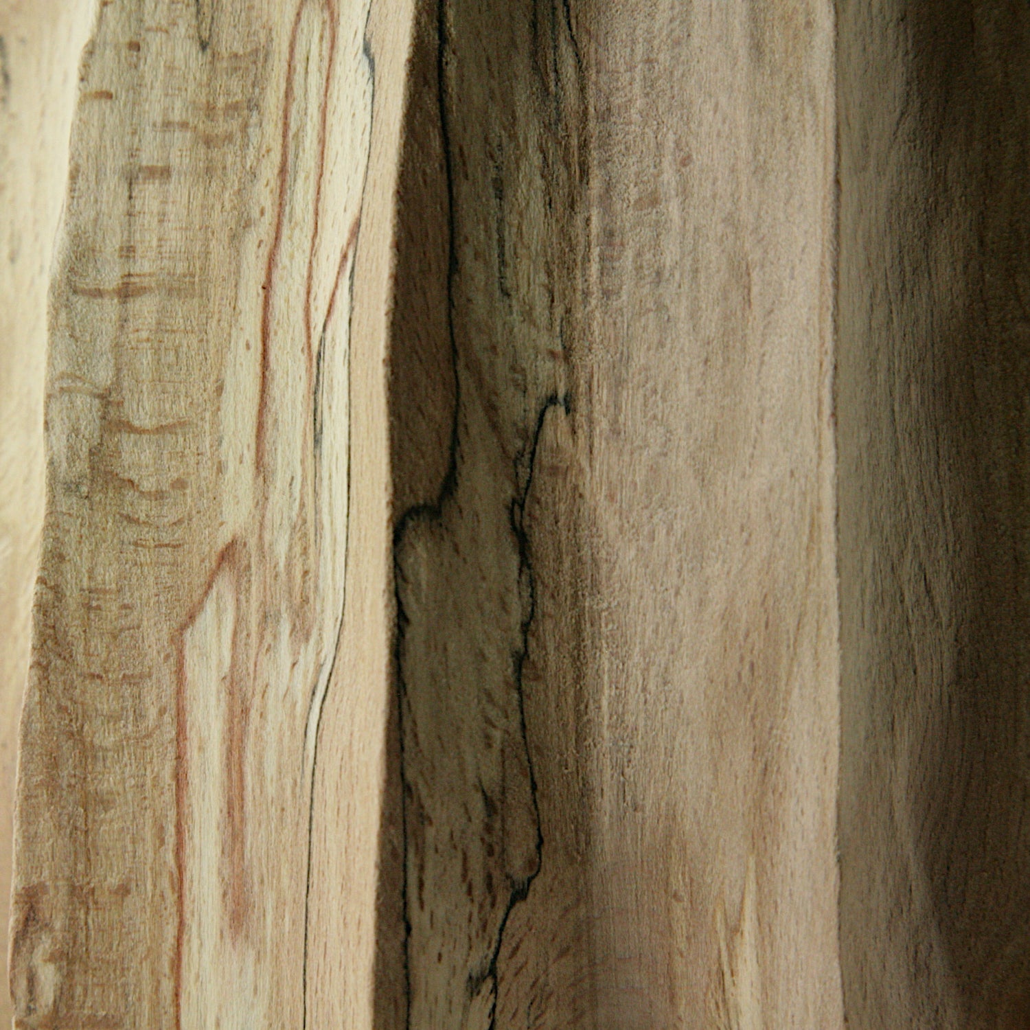 Spalted beech vase in vase #1
