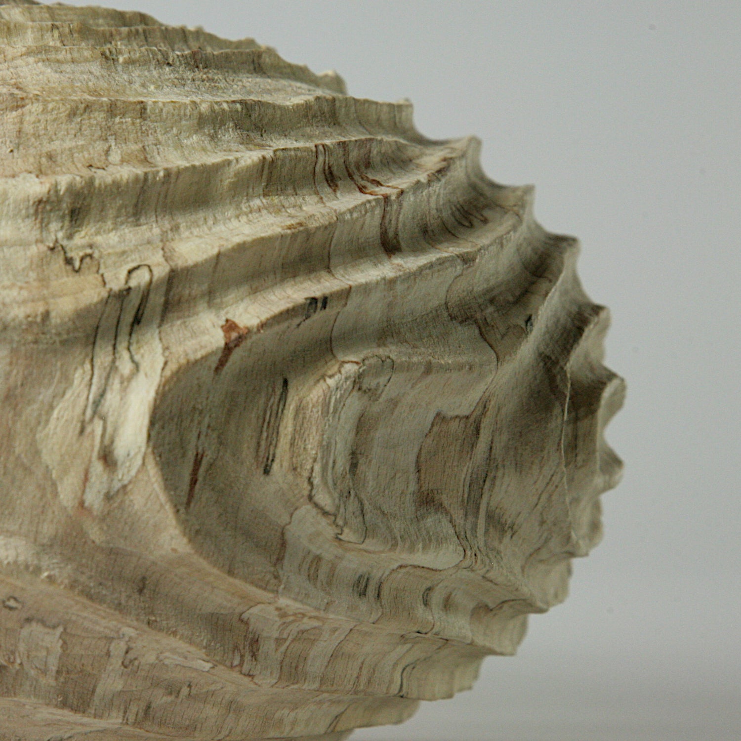 Spalted beech sculpted hollow form #2
