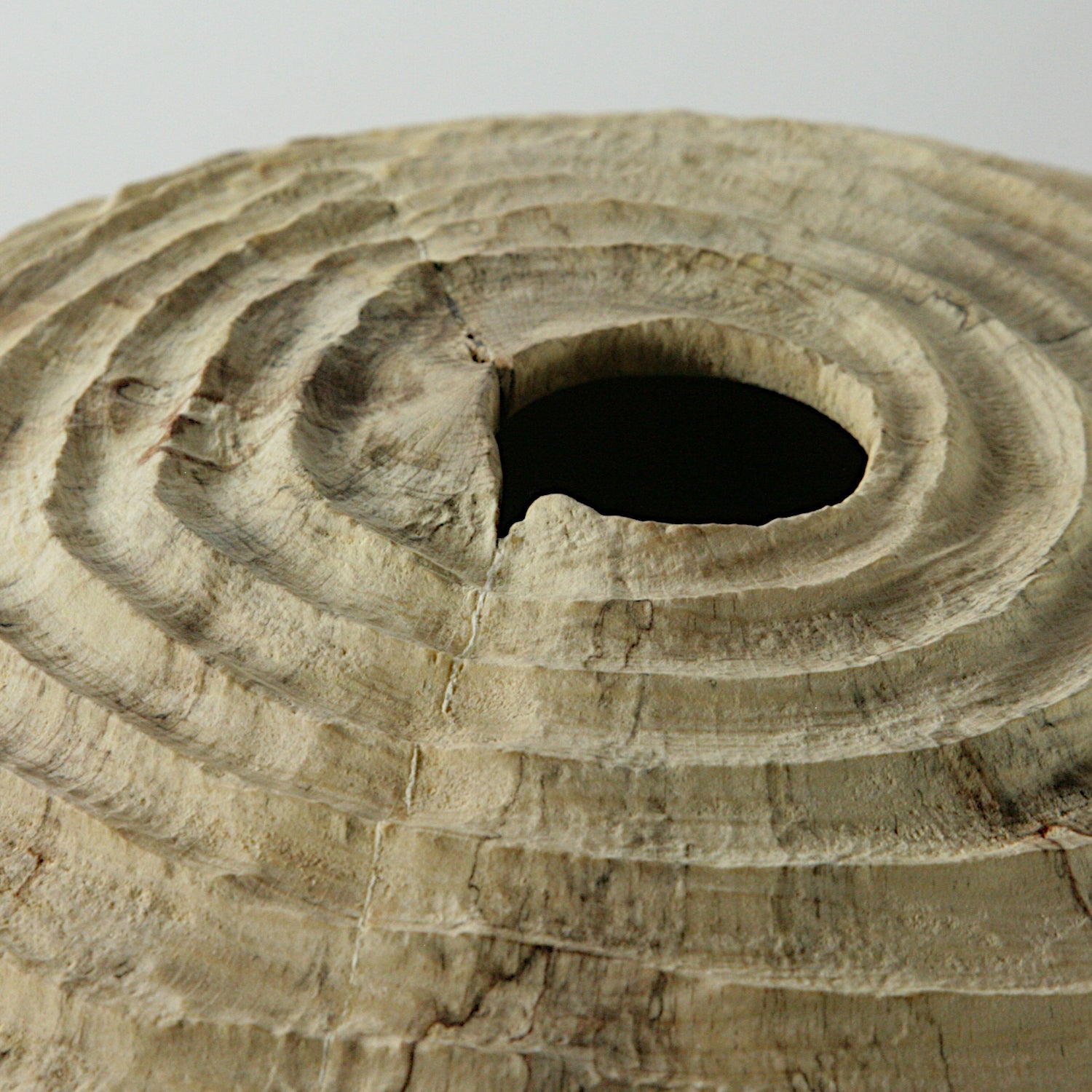 Spalted beech sculpted hollow form #2