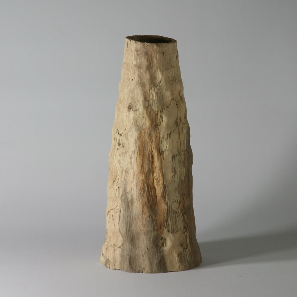 Cork oak vase