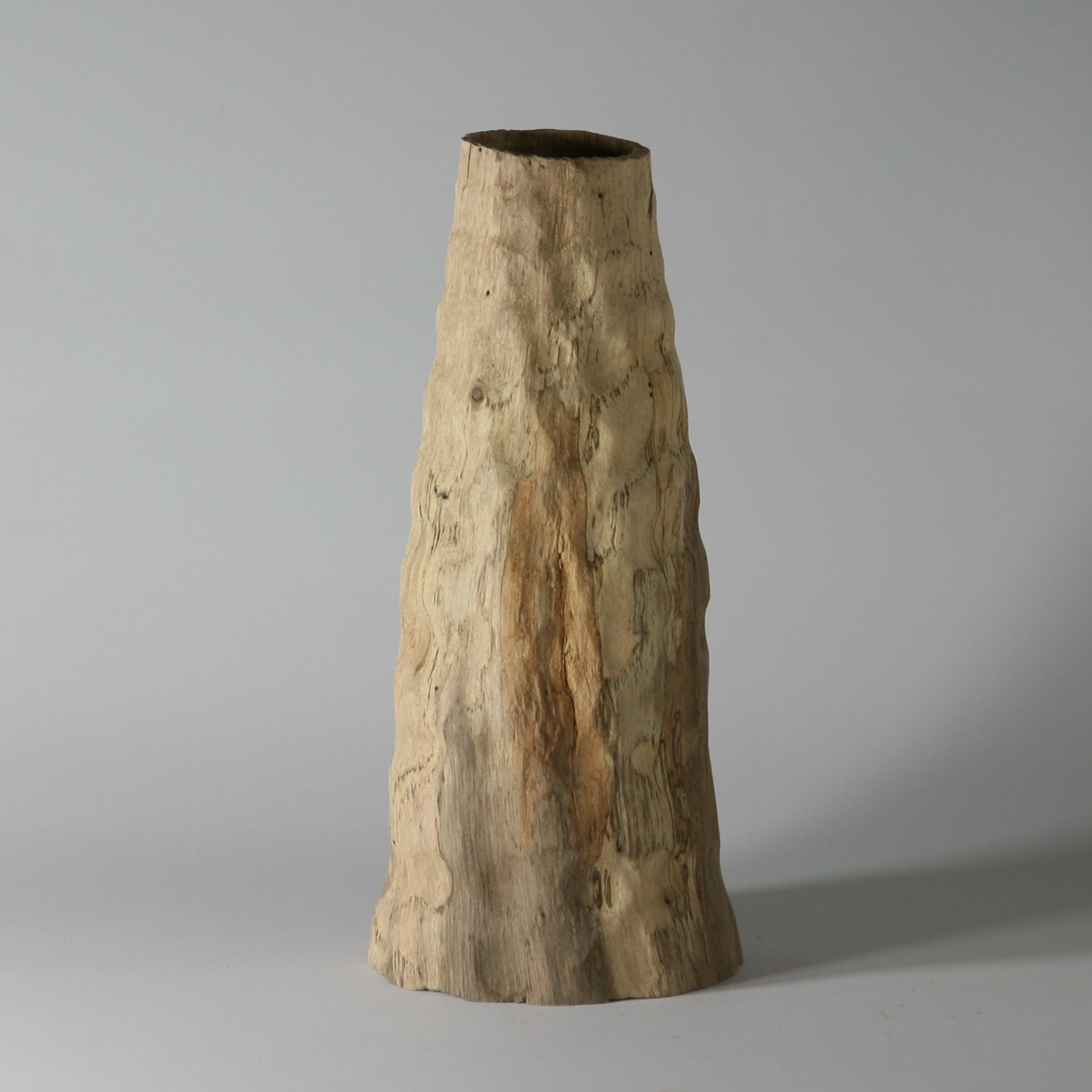 Cork oak vase