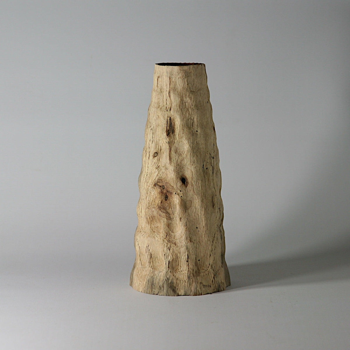 Cork oak vase