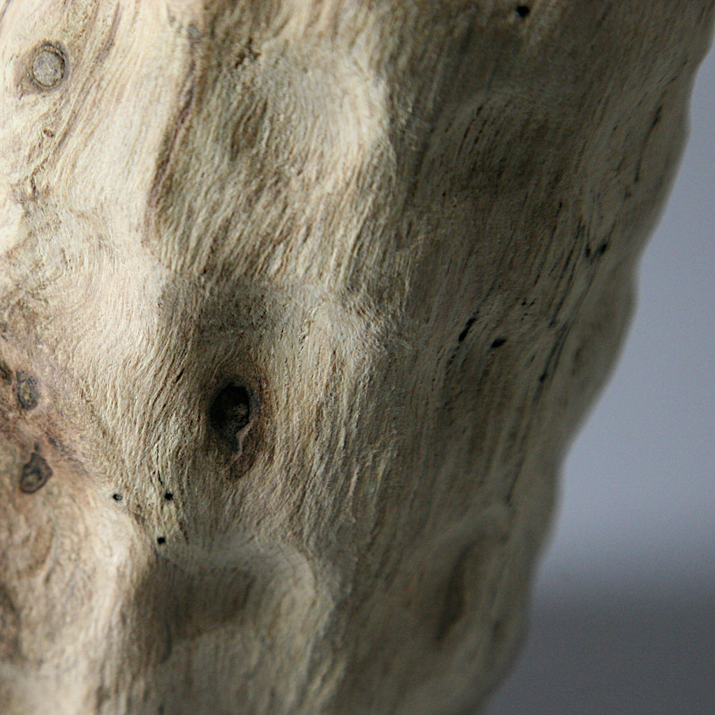 Cork oak vase