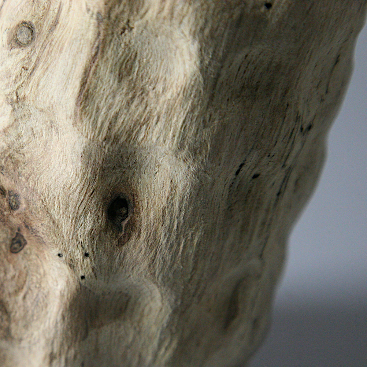 Cork oak vase