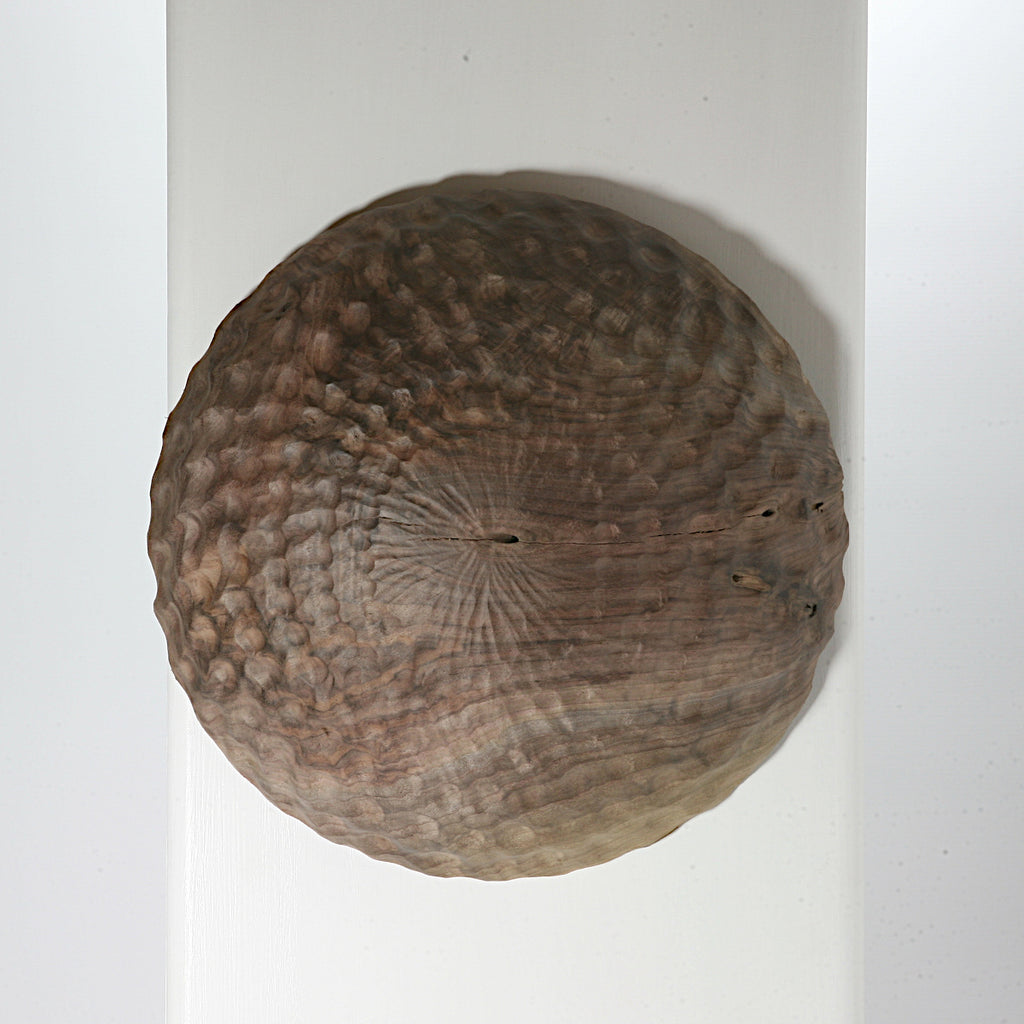 Black walnut wall shield