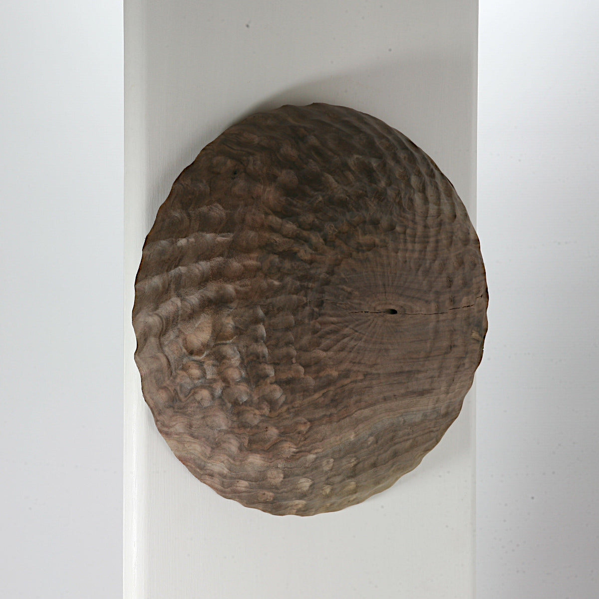 Black walnut wall shield