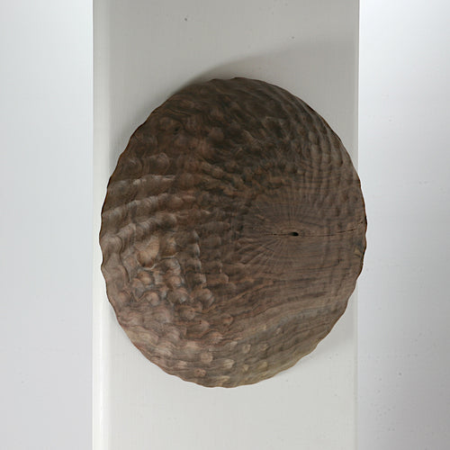 Black walnut wall shield