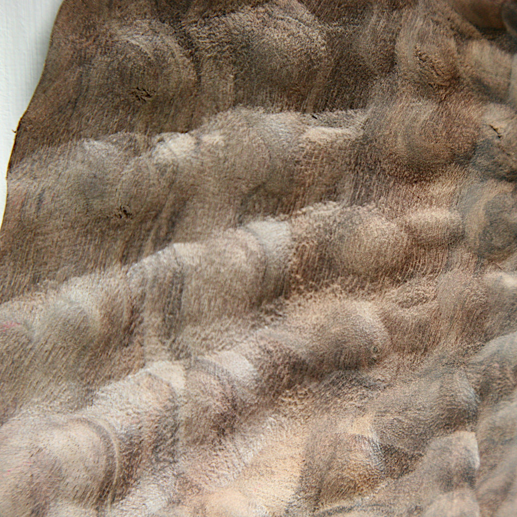 Black walnut wall shield