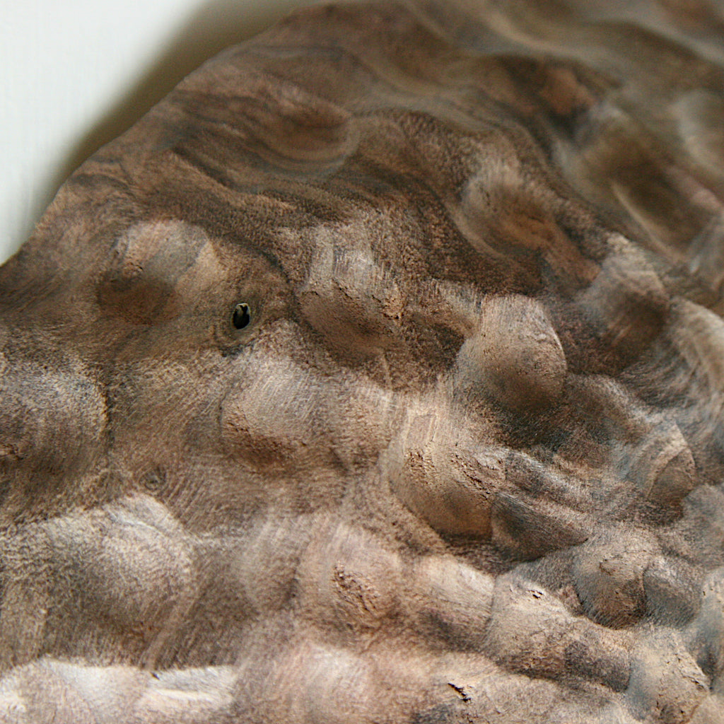 Black walnut wall shield