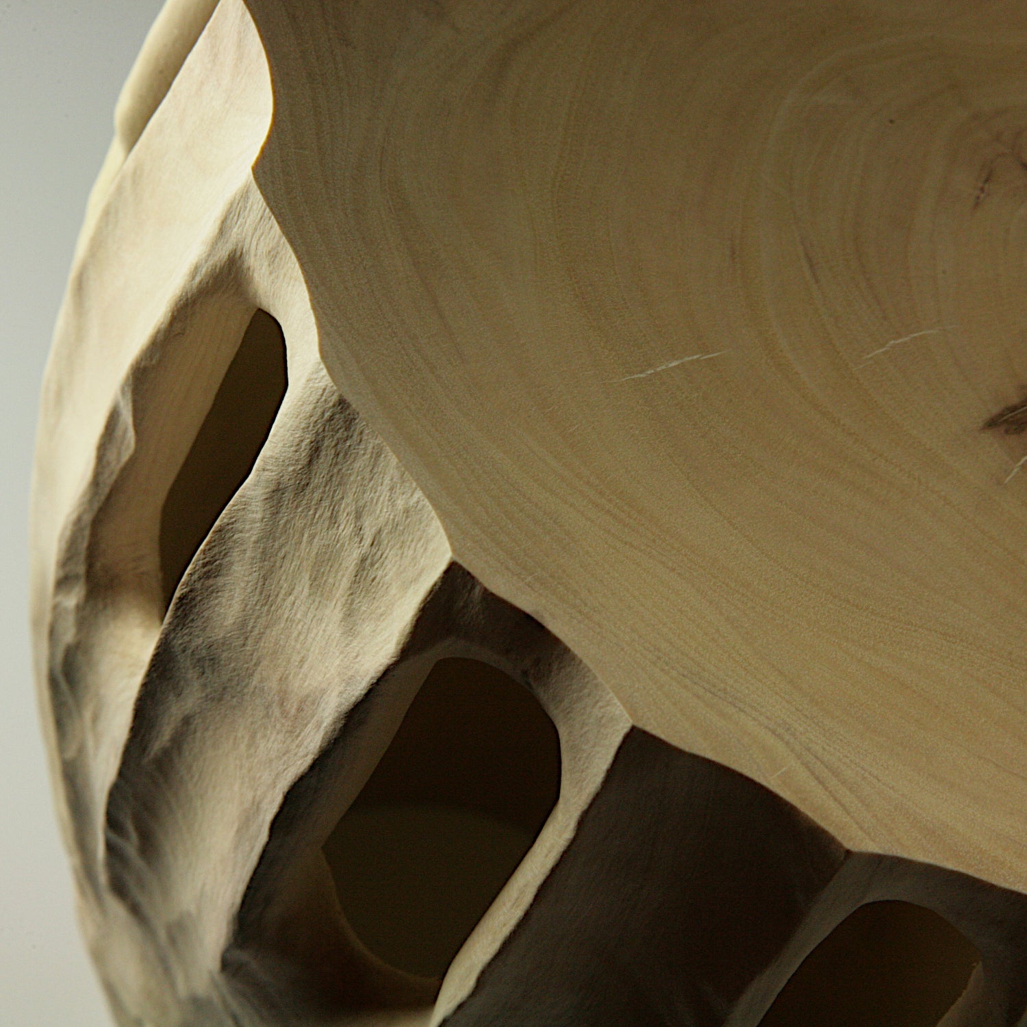 Inside/Outside hornbeam vase