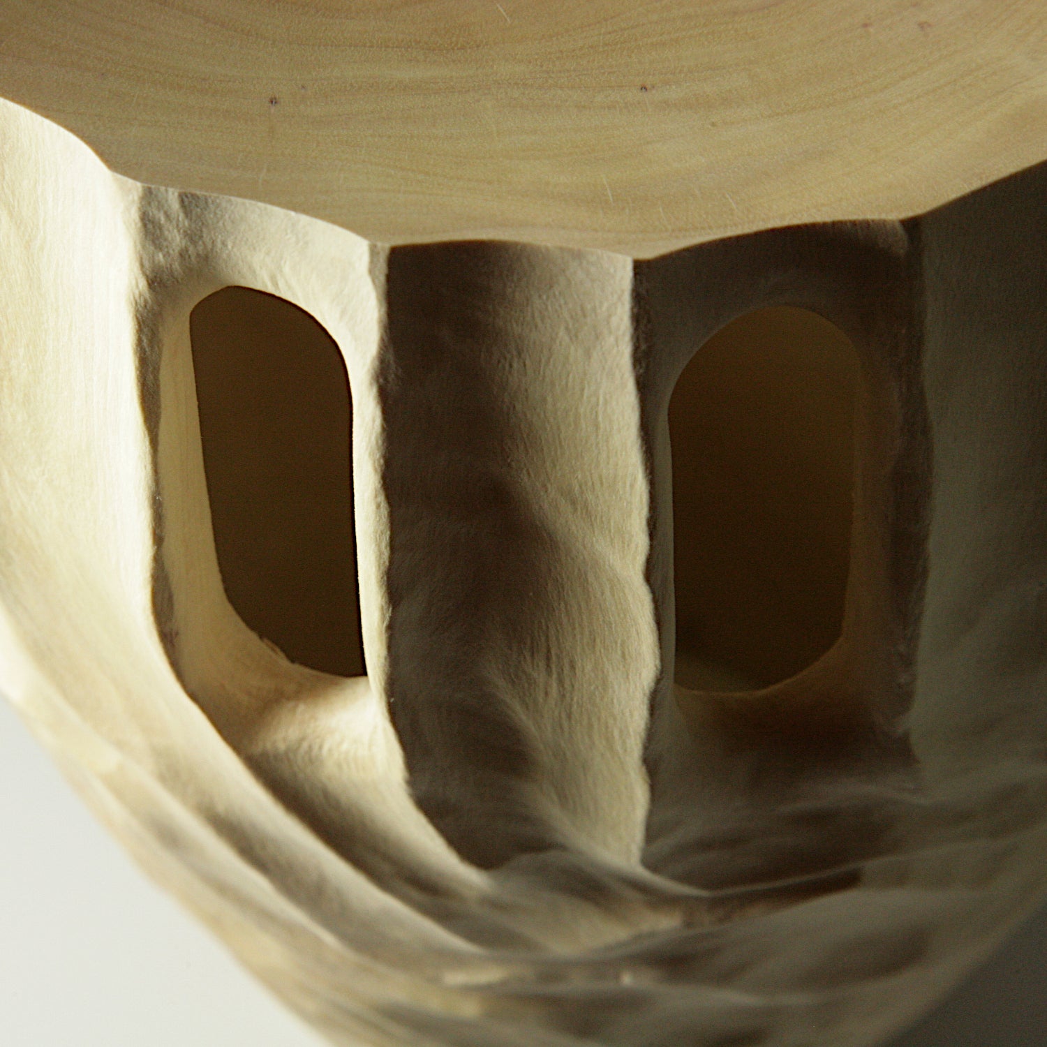 Inside/Outside hornbeam vase