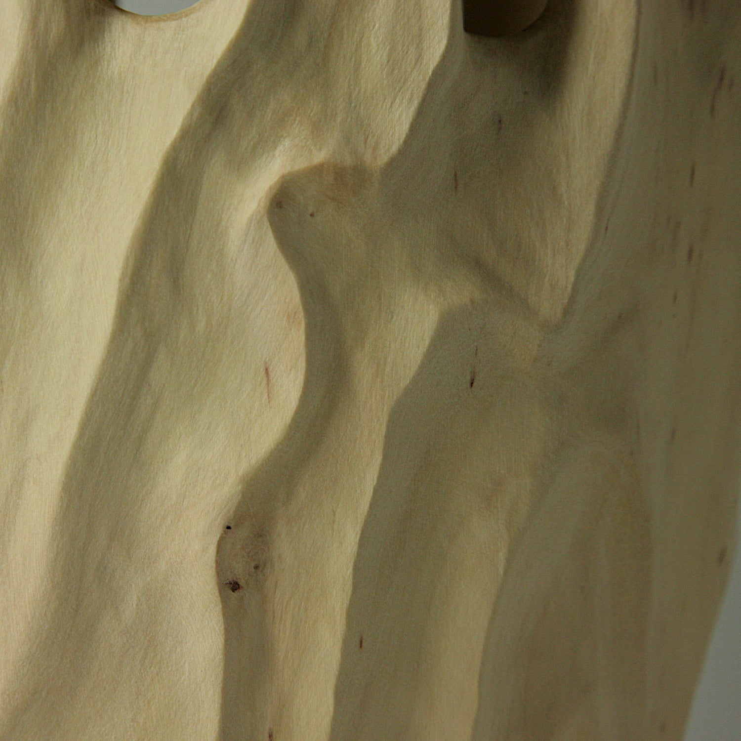 Inside/Outside hornbeam vase