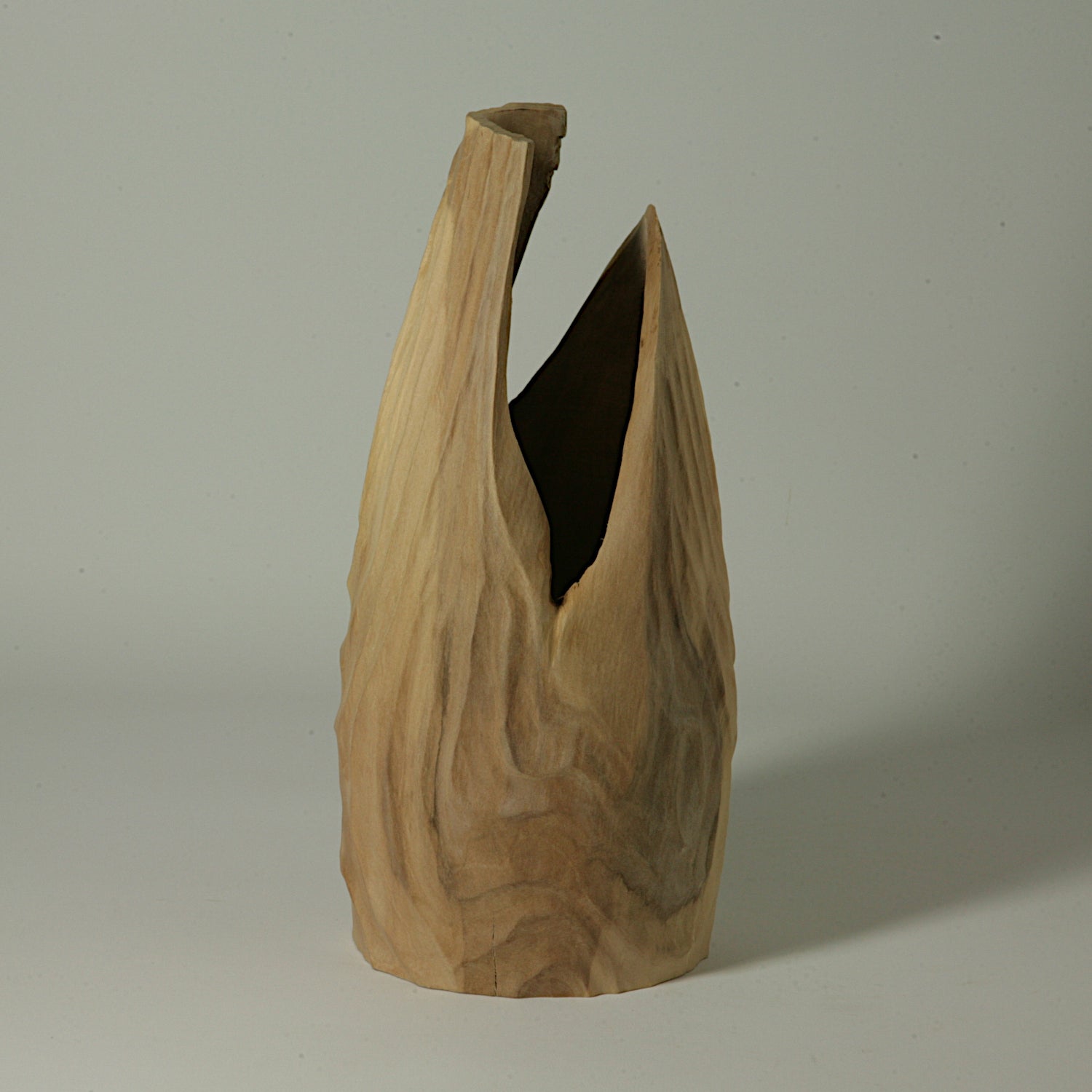 Medlar vase