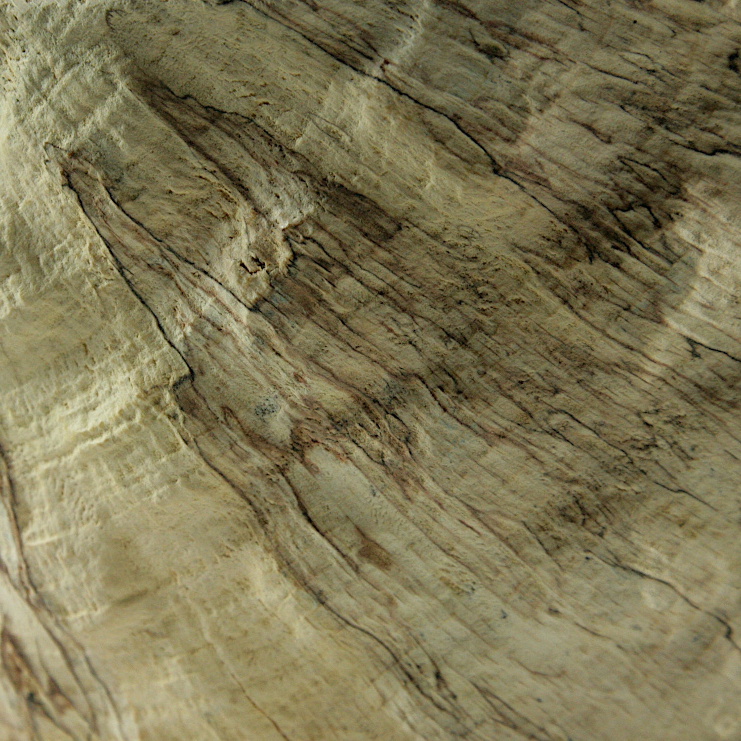 Spalted beech sculpted bowl