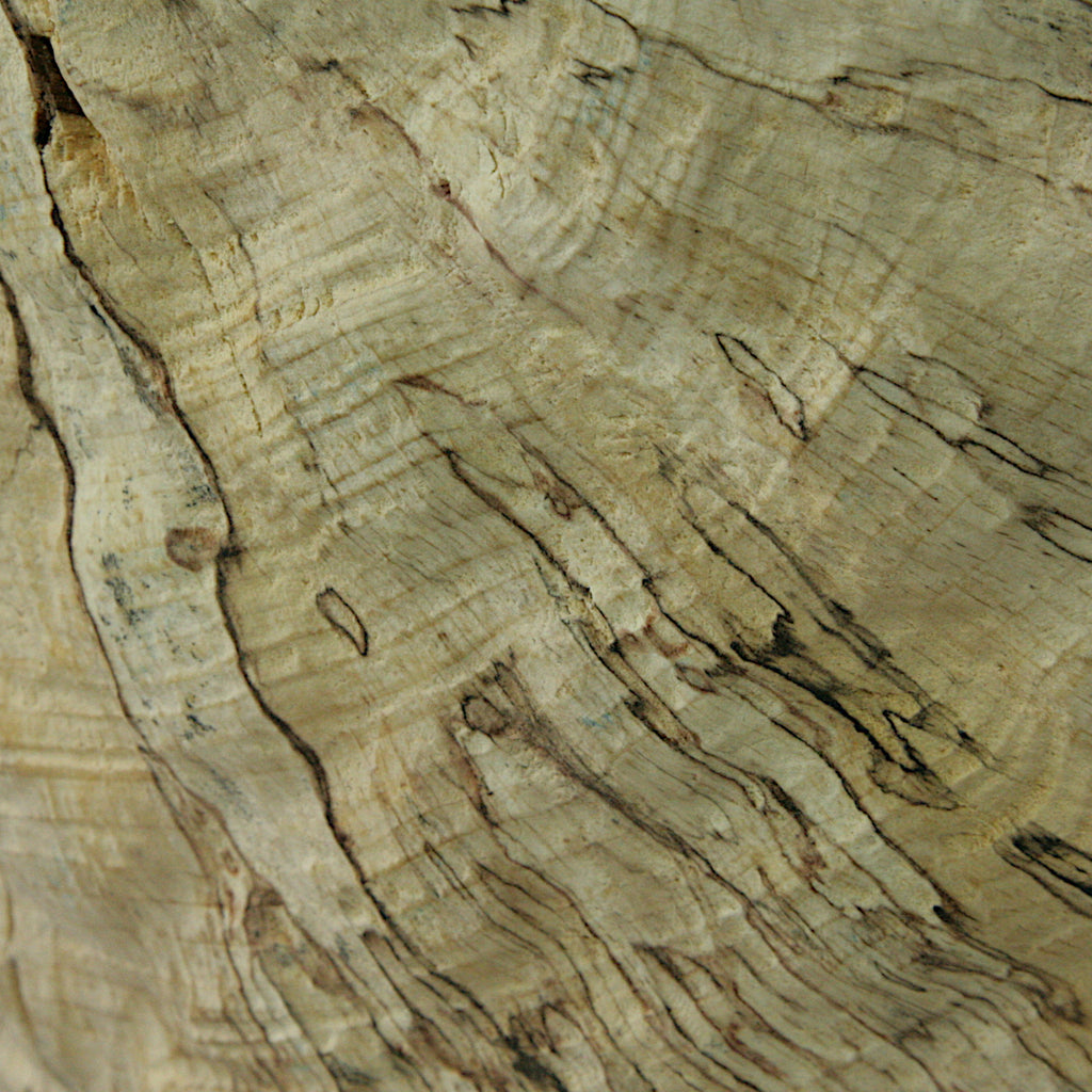 Spalted beech sculpted bowl