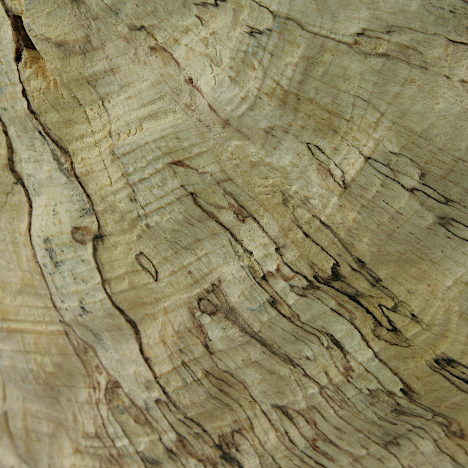 Spalted beech sculpted bowl
