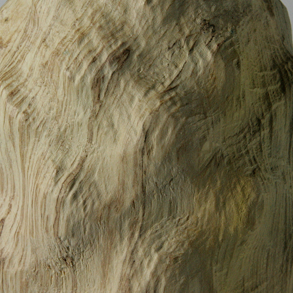 Spalted beech bottle