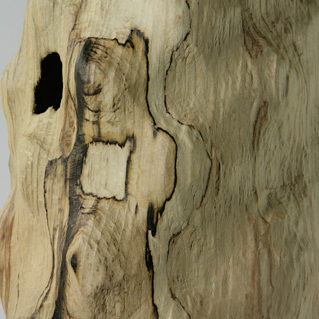 Spalted beech bottle