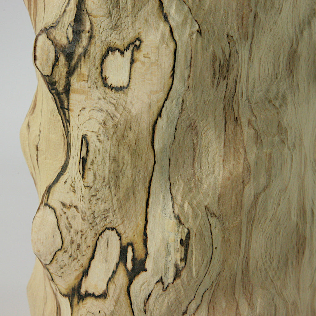 Spalted beech bottle