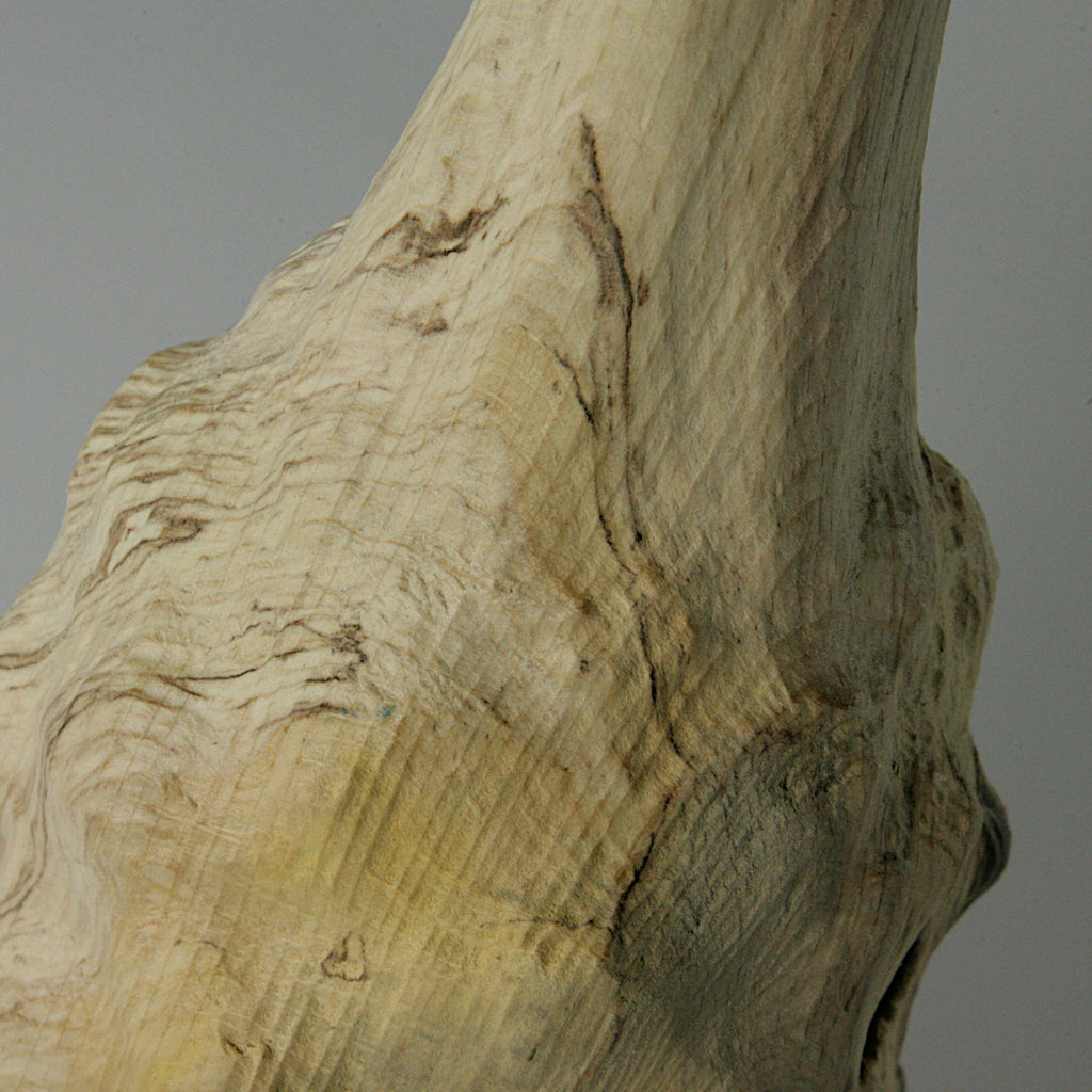 Spalted beech bottle