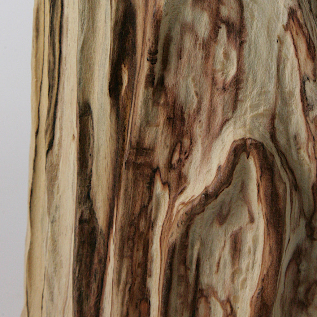 Spalted beech Bottle