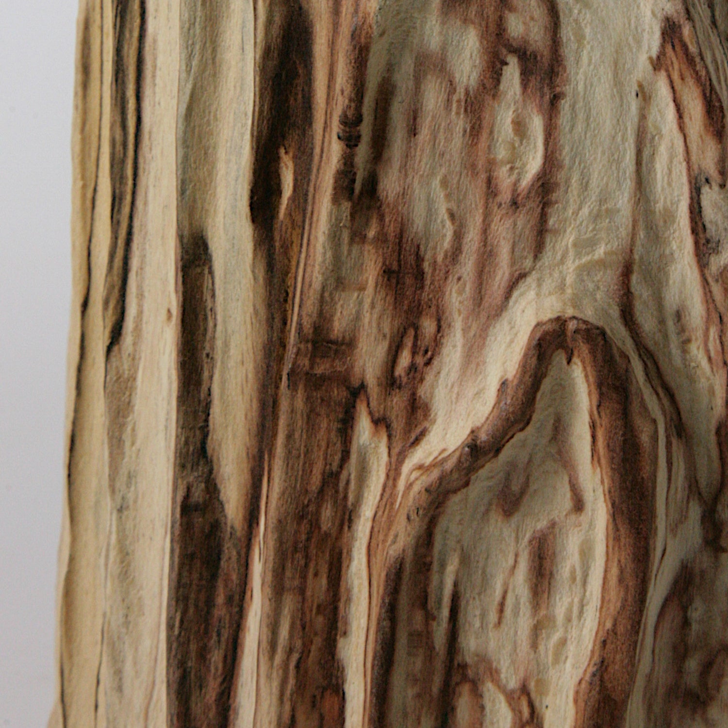 Spalted beech Bottle