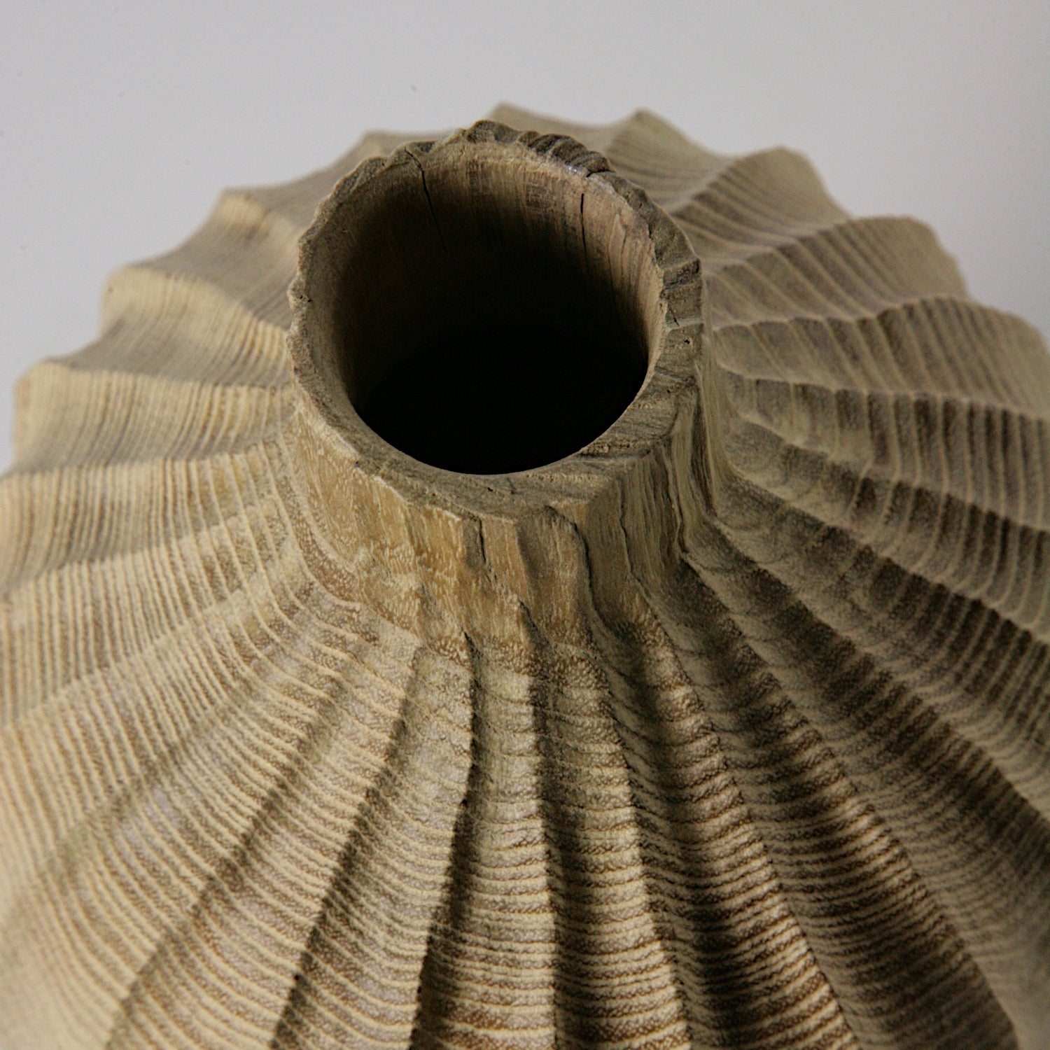 Black locust bottle #1