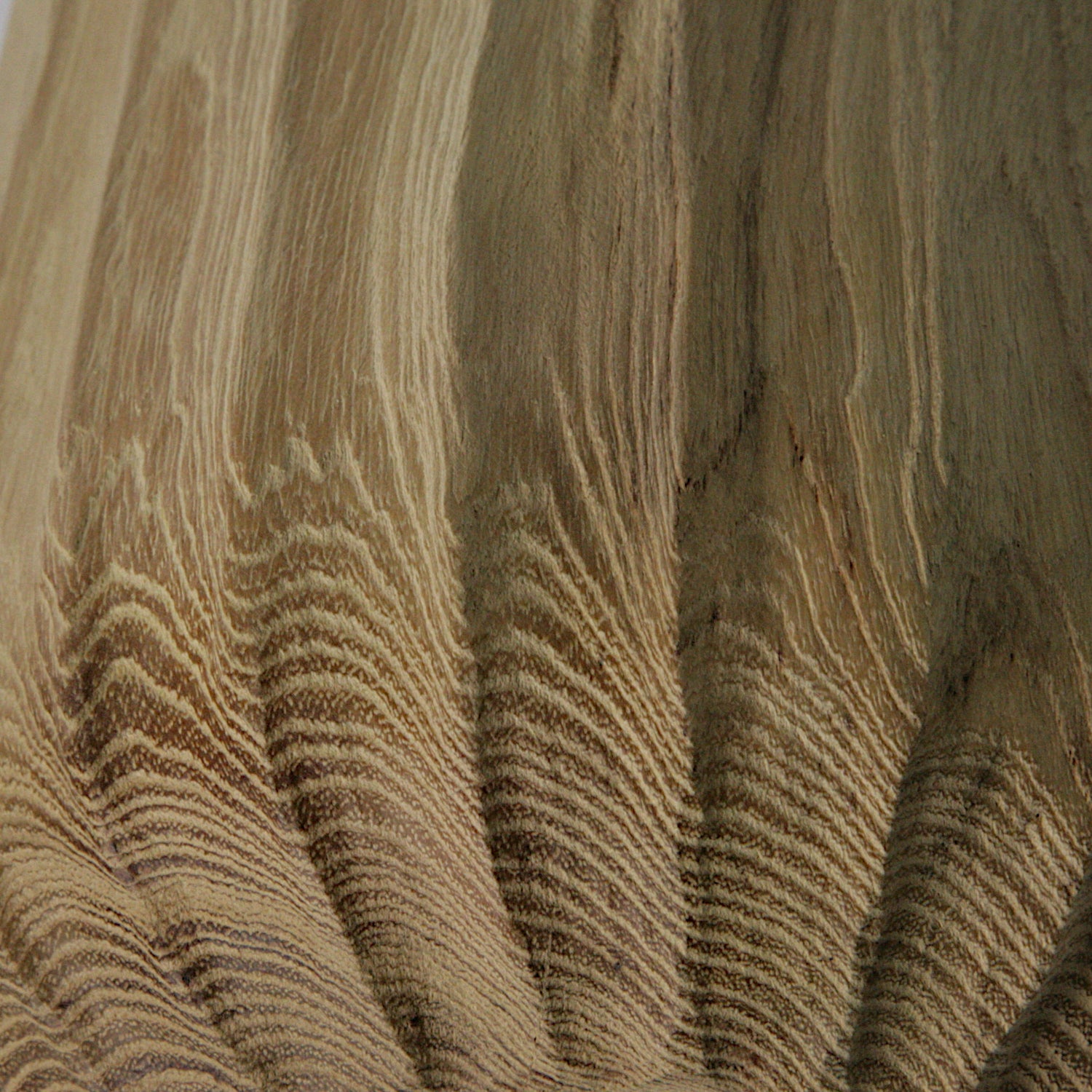 Black locust bottle #1