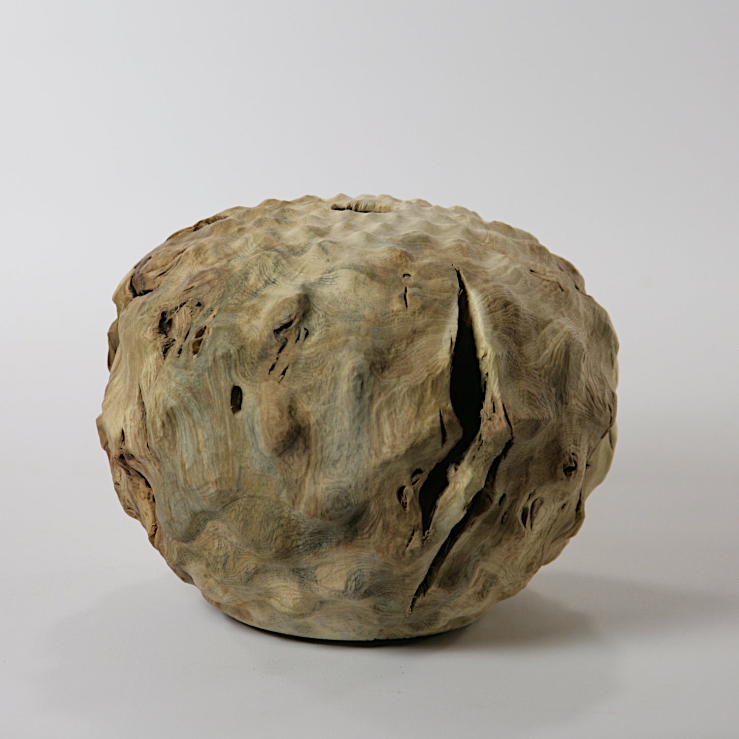 Fig tree hollow form