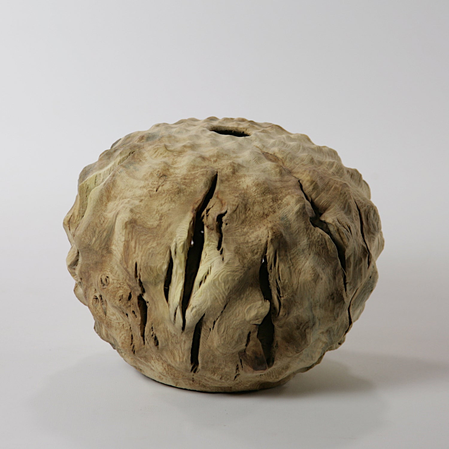 Fig tree hollow form