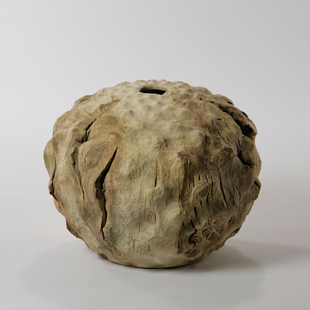 Fig tree hollow form