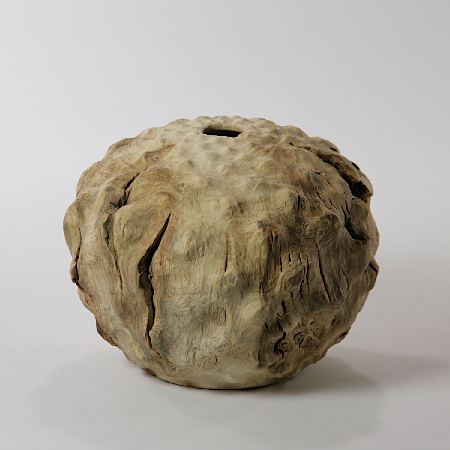 Fig tree hollow form