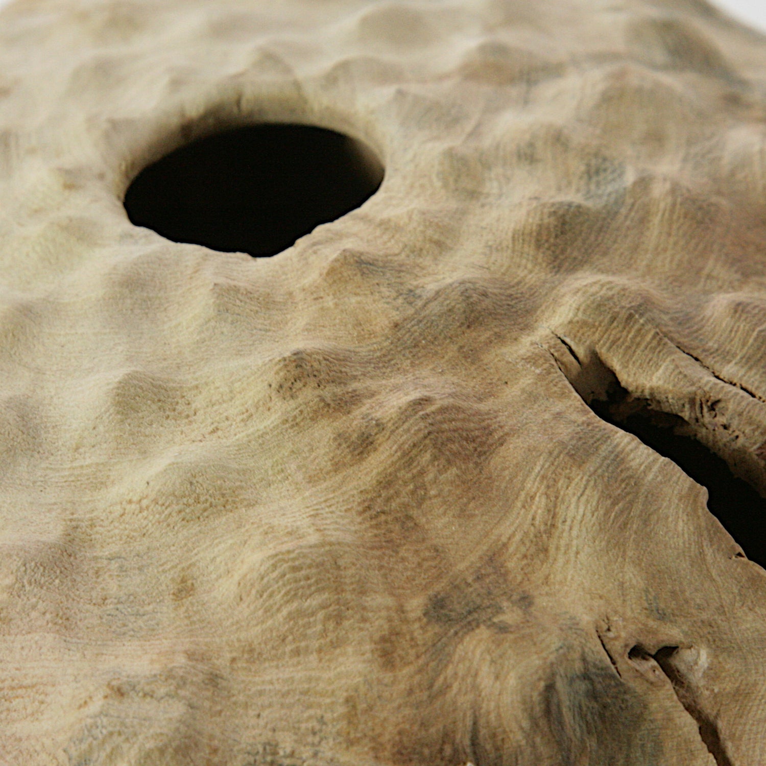 Fig tree hollow form