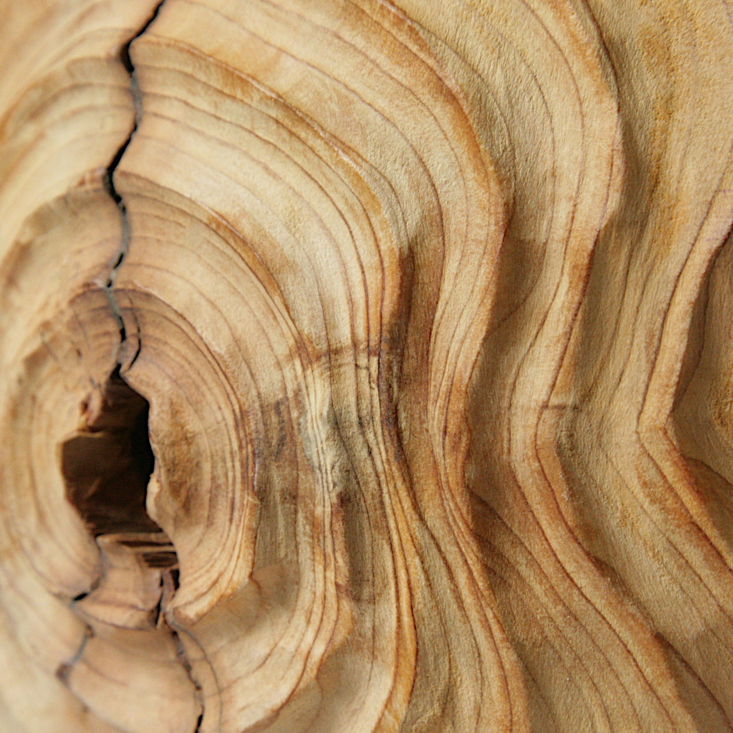Yew hollowed sphere