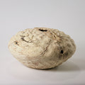 Spalted beech sculpted hollow form