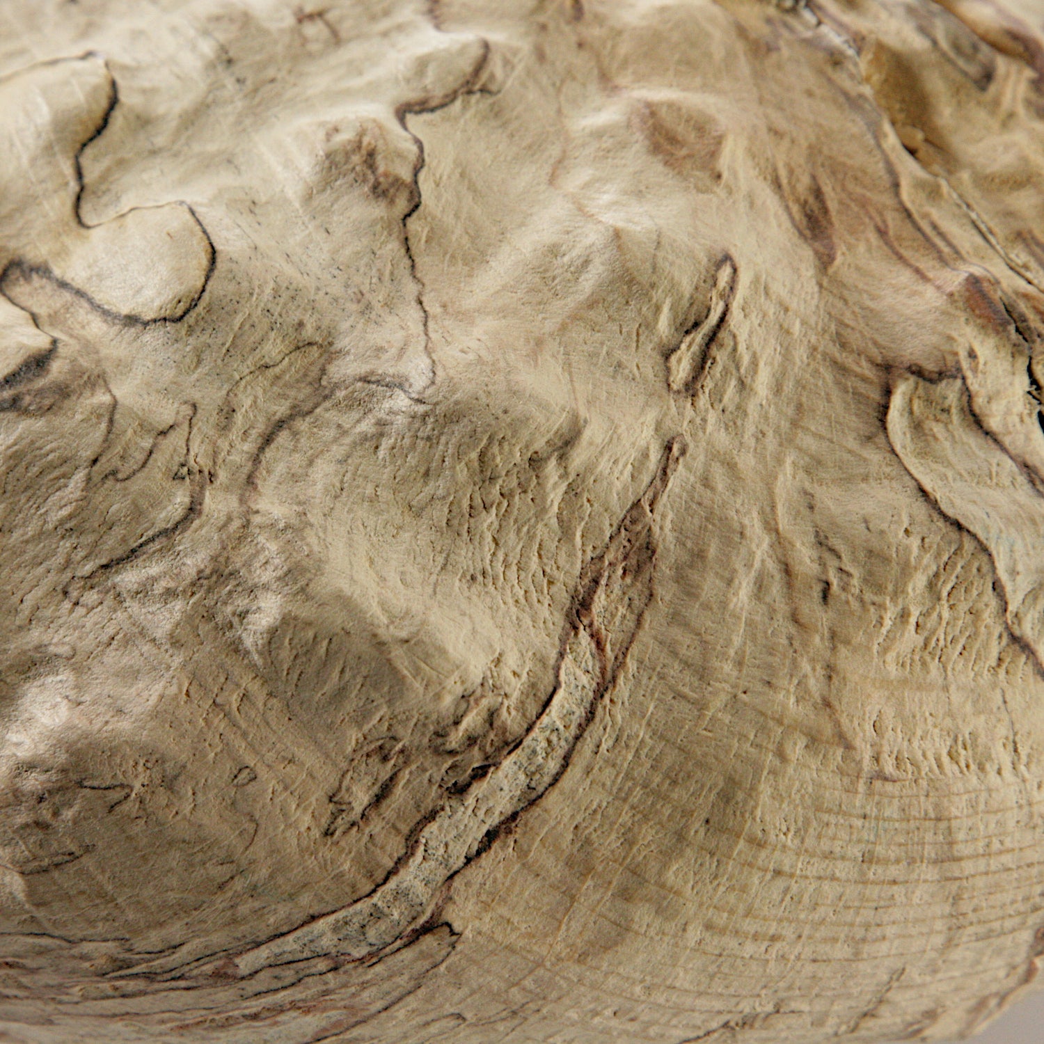 Spalted beech sculpted hollow form