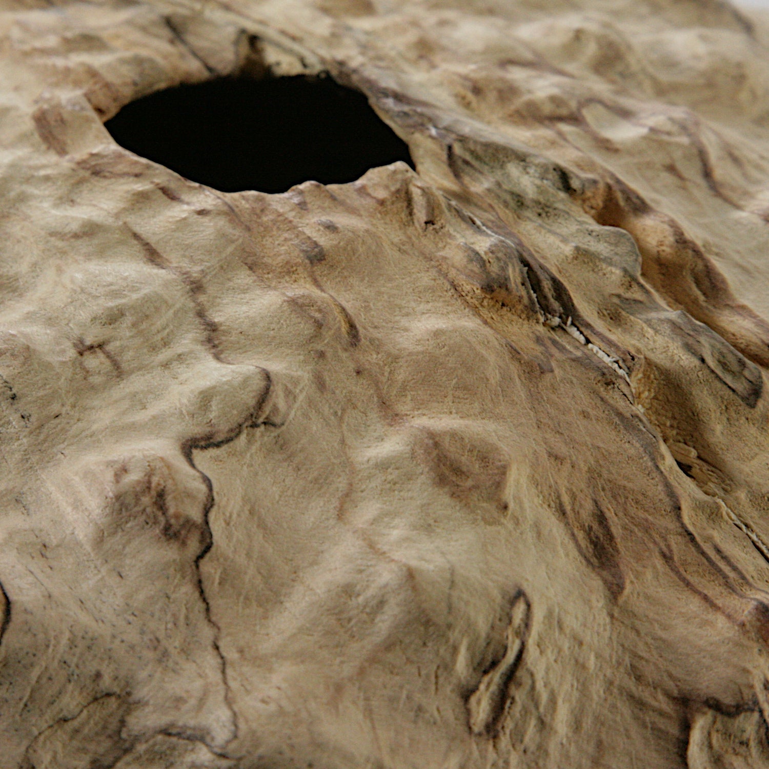 Spalted beech sculpted hollow form