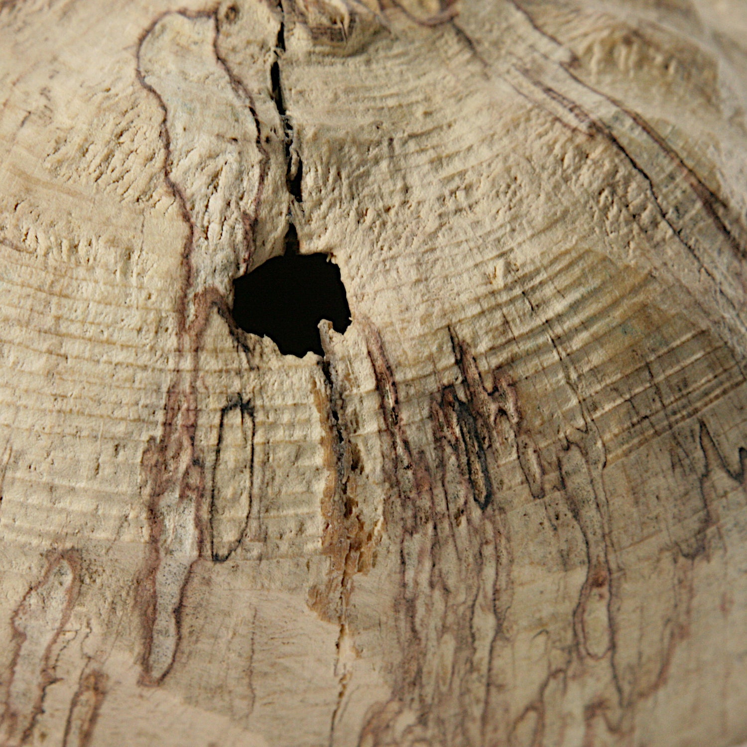 Spalted beech sculpted hollow form