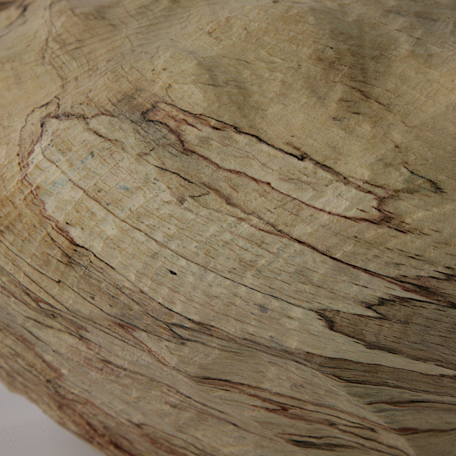 Spalted beech sculpted hollow form