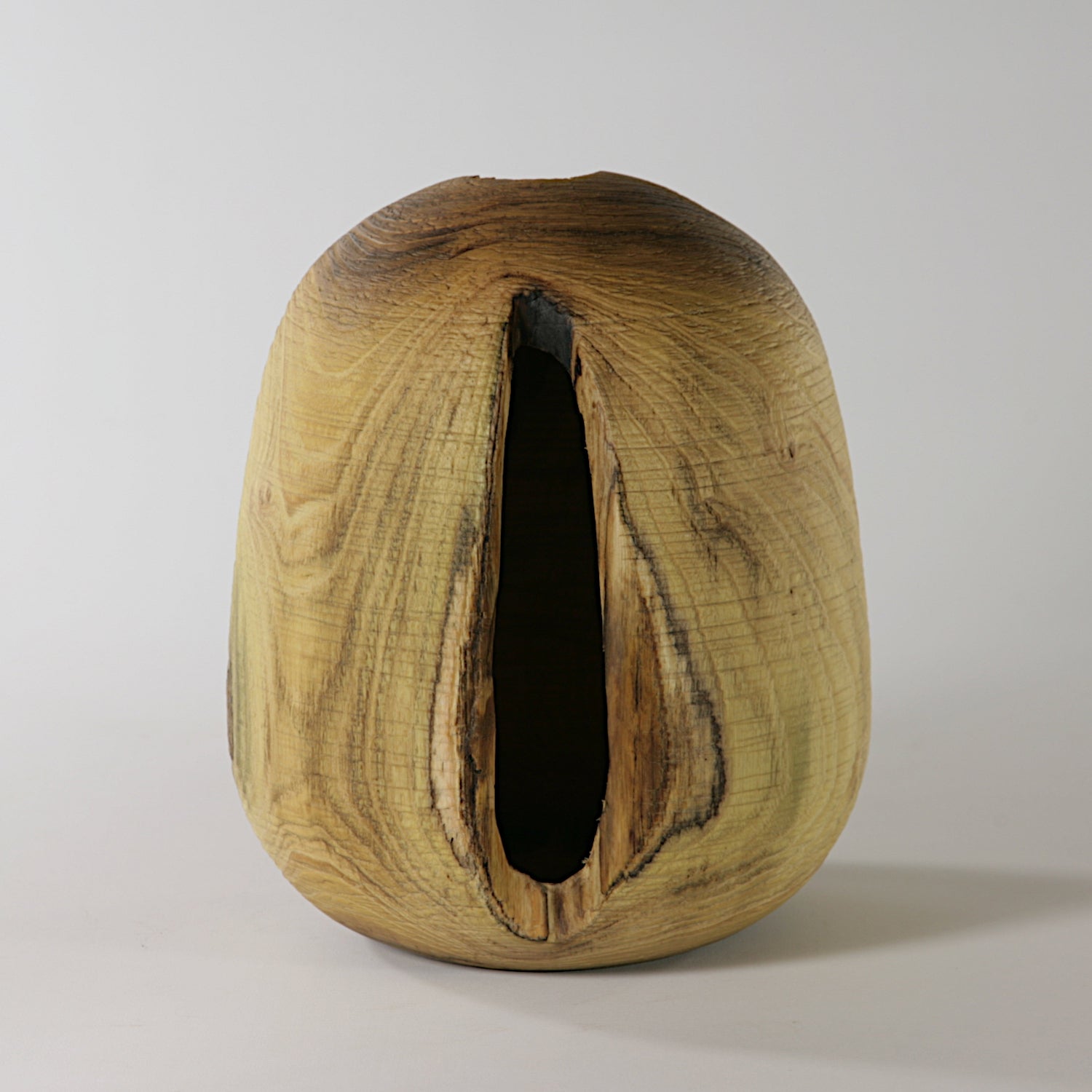 Black locust vase