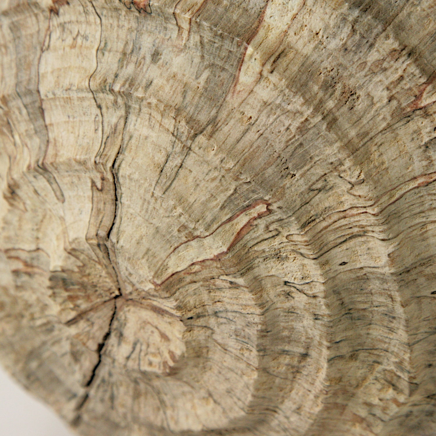 Spalted beech sculpted sphere
