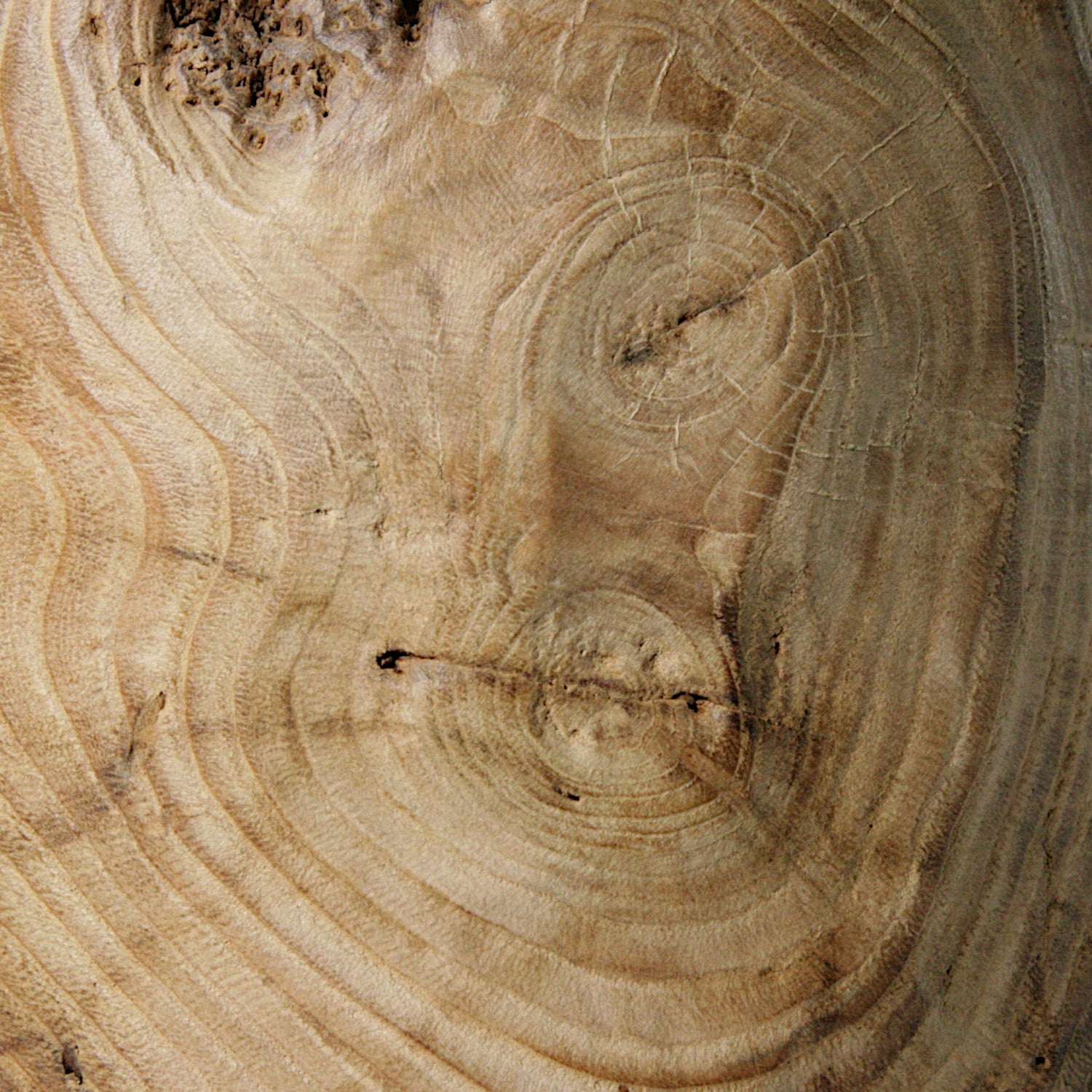Chestnut bottle