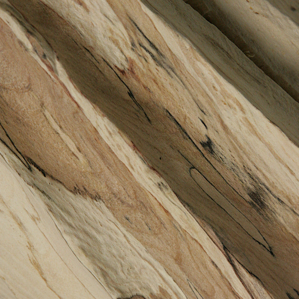 Spalted beech vase in vase #2