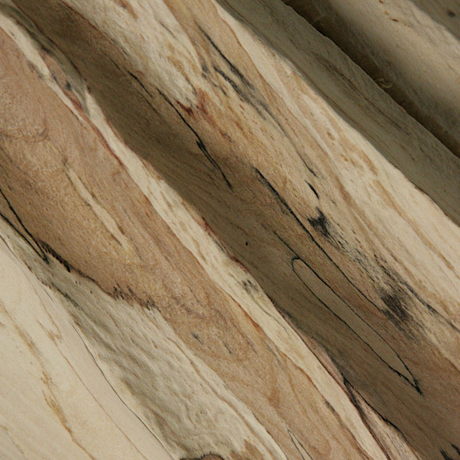 Spalted beech vase in vase #2