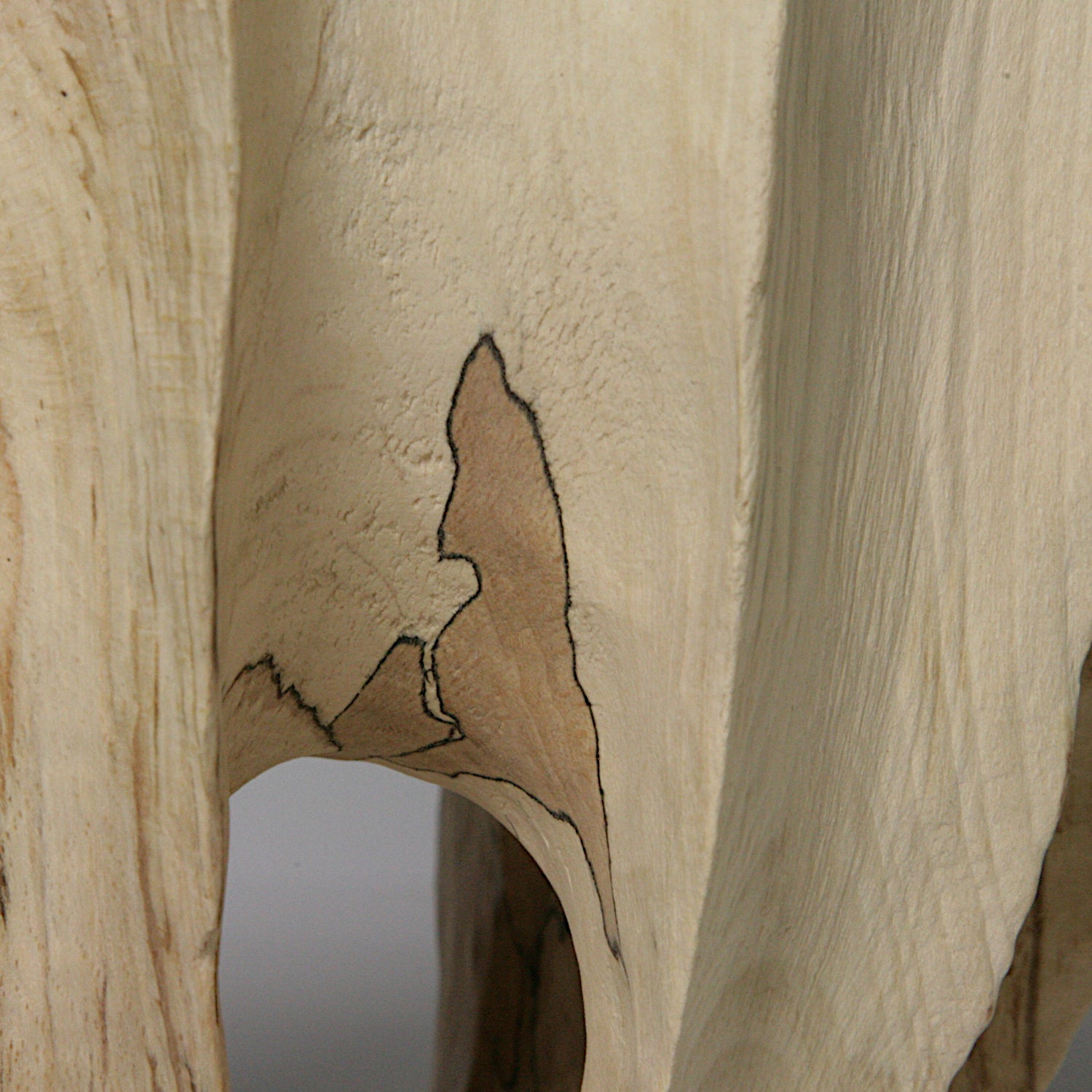 Spalted beech vase in vase #2