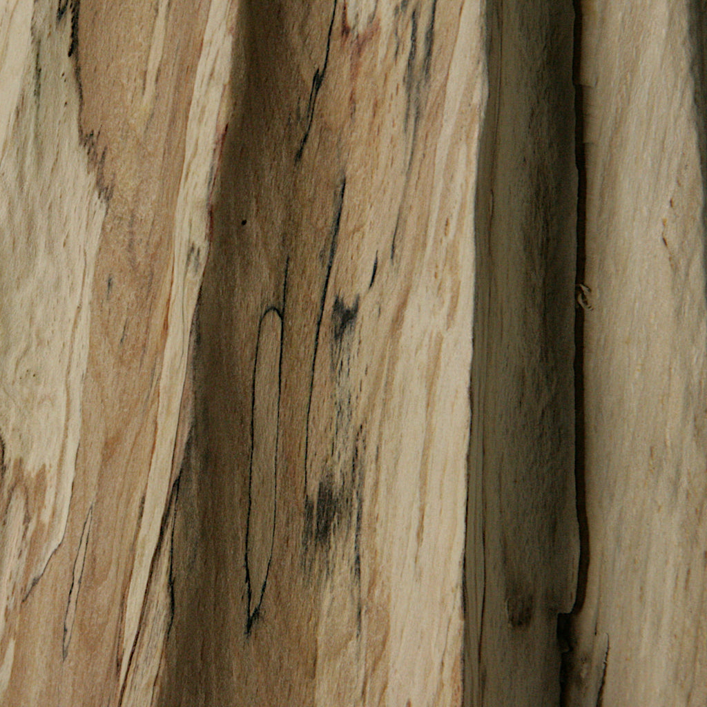 Spalted beech vase in vase #2